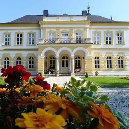 Rex Clinic Rátót