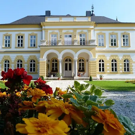 Rex Clinic Rátót